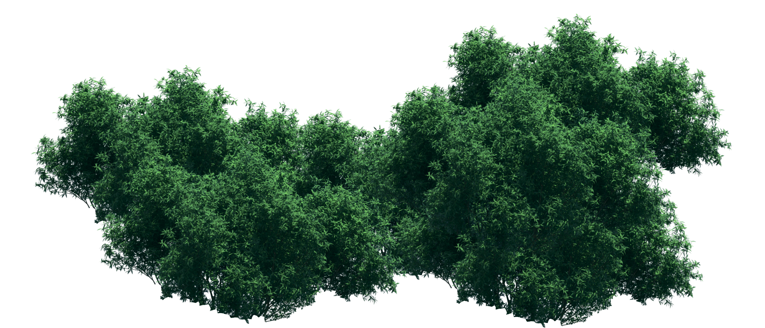 Horizontal Trees Footer Home