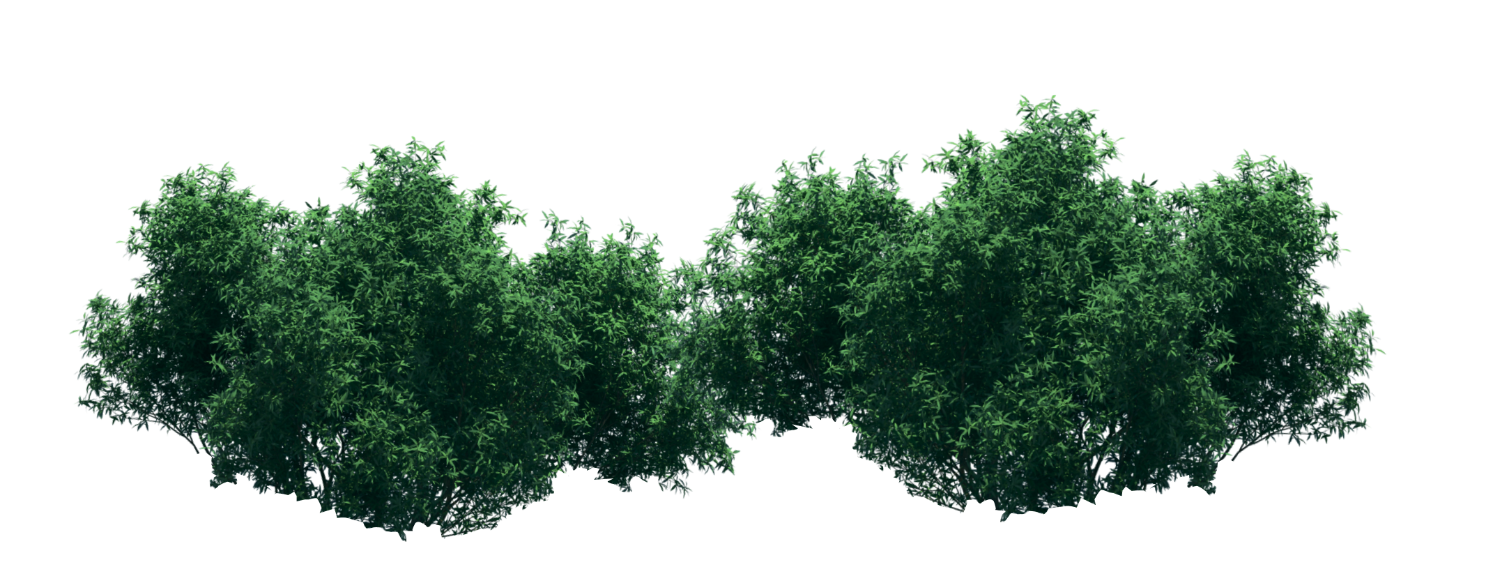tree horizontal